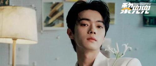 大瓜爆料许凯视频大全集,大瓜爆料背后的精彩瞬间  第1张